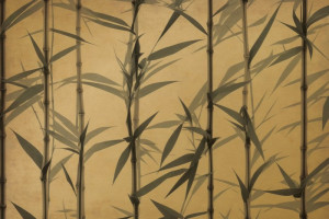 Fototapeta Azja bambus, pędów bambusa, plantacji bambusa, natura, rośl