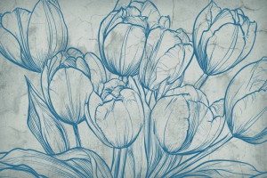 Fototapeta Jadalnia tulipan, tulipany, szkic, rysunek, rysowane ręczni