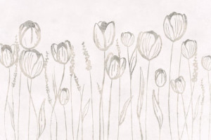 Fototapeta Jadalnia tulipany, abstrakcja, tulipan, łąka, pole
