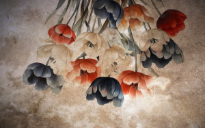 Fototapeta Tulipany tulipany, tulipan, kwiat, kwiaty, natura