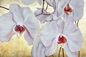Fototapeta 3d storczyk orchidea, orchidee, storczyk, storczykowaty, kw
