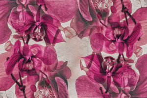 Fototapeta 3d storczyk orchidea, orchidee, storczyk, storczykowaty, śc