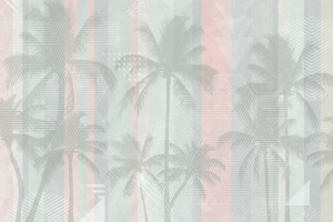 Fototapeta Palmy palma, palmy, drzewo, rośliny, roślinność
