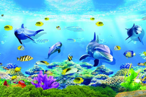 Fototapeta Ryby delfin, delfiny, ryba, ryby, ryby morskie