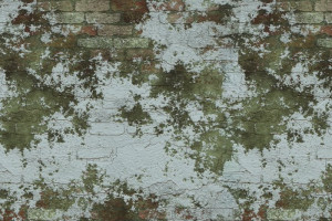 Fototapeta Mur mur, ceglany mur, dom murowany, murowanie, murowany bud