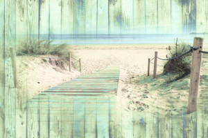 Fototapeta Plaża plaża, biała plaża, plaża morze, pustynia, plaża, pla