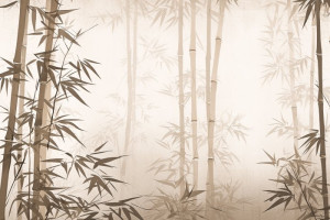 Fototapeta Azja las, bambus, pędów bambusa, krajobraz, Japonia