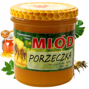 Miód Porzeczkowy Naturalny Nektarowy 420 g