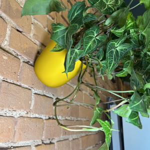 Wisząca doniczka na ścianę Poppy różne kolory