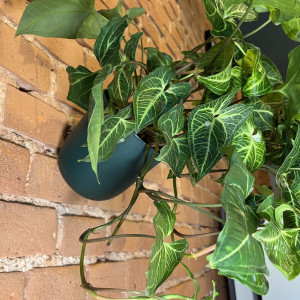 Wisząca doniczka na ścianę Poppy różne kolory