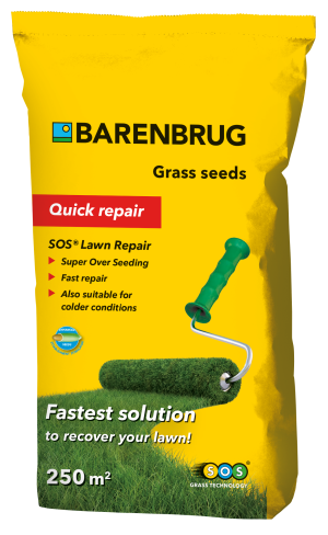 Nasiona traw Barenbrug renowacja SOS dla zniszczonych trawników 5kg