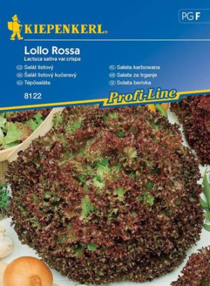 Sałata karbowana "Lollo Rossa" Kiepenkerl