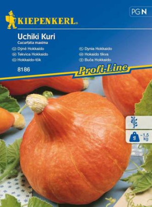 Dynia hokkaido "Uchiki Kuri" Kiepenkerl