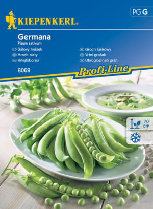 Groch łuskowy "Germana" Kiepenkerl