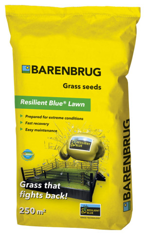 Barenbrug Trawa UNIWERSALNA Resilient Blue 5kg na 250 m2