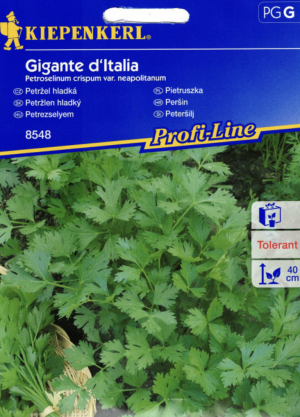 Pietruszka Gigante Italia Kiepenkerl