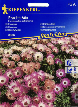 Przypołudnik Pracht Mix Kiepenkerl