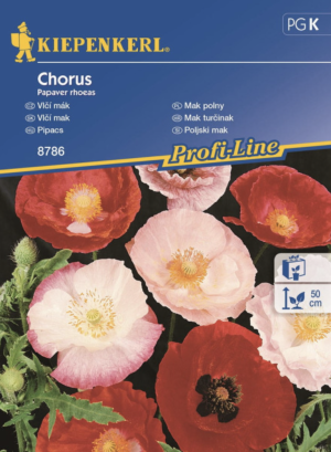 Mak polny Chorus Kiepenkerl