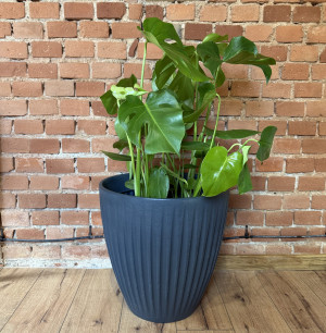 Doniczka Latia Round 48x48h TLRO48M