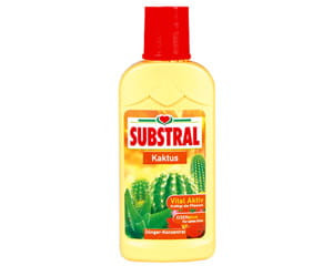 Substral nawóz do kaktusów 250ml