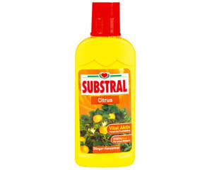 Substral nawóz do cytrusów 250ml