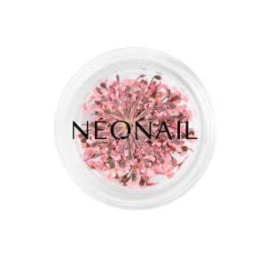 NEONAIL Ufficiale | Decorazione Floreale per Unghie 01 Rosa