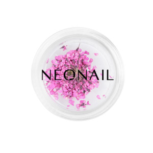NEONAIL Ufficiale | Decorazione Floreale per Unghie 02 Viola