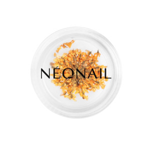 NEONAIL Ufficiale | Decorazione Floreale per Unghie 03 Arancione