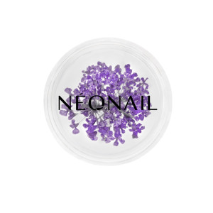 NEONAIL Ufficiale | Decorazione Floreale per Unghie 06 Violet