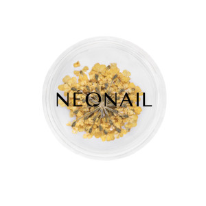 NEONAIL Ufficiale | Decorazione Floreale per Unghie 07 Yellow