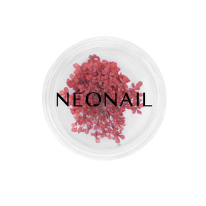 NEONAIL Ufficiale | Decorazione Floreale per Unghie 08 Red