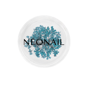 NEONAIL Ufficiale | Decorazione Floreale per Unghie 05 Turquoise