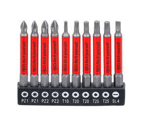 Zestaw bity antypoślizgowe magnetyczne długie 1/4" 10 szt. PZ, TX, SL