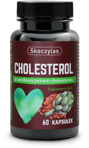Skoczylas cholesterol 60 kapsułek