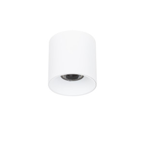 Altisma, nowoczesna i kompaktowa lampa natynkowa w białym kolorze z wbudowanym źródłem światła LED, 15W, Italux