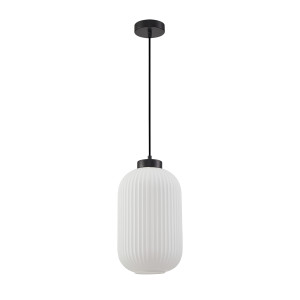 Lindo, modernistyczna, czarna lampa wisząca z białym kloszem, E27, 40W
