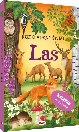 AWM ROZKŁADANY ŚWIAT LAS