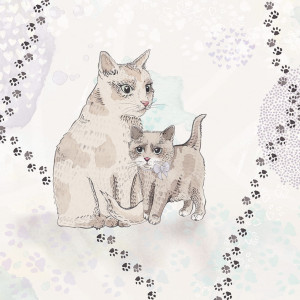 Tapeta Malumi Cutty Cats - Violet do dziecięcego pokoju