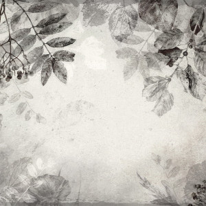 Tapeta Artystyczna Malumi Herbarium - Warm Grey - Z Motywem Wiszących Liści I Kwiatów
