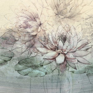 Tapeta Artystyczna Water Lilies - Grey - Tapeta Do Salonu Z Motywem Lilii Wodnych