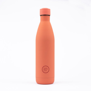 Cool Bottles Butelka termiczna Kids 350 ml Brave Vikings
