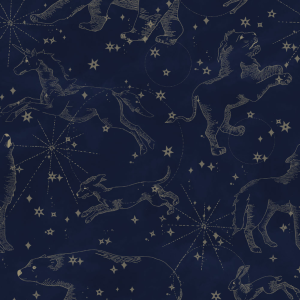 Tapeta do pokoju dla dziecka Constellations Dark