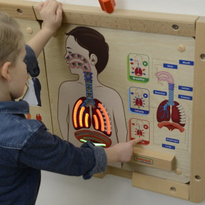 MASTERKIDZ Tablica Edukacyjna Układ Oddechowy