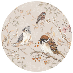 Naklejki ścienne dla dzieci Birds in a Circle