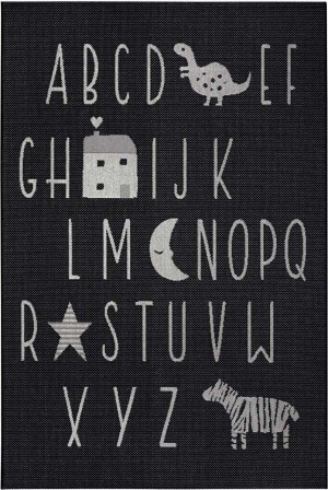 Dywan czarny płasko tkany sizal, zewnętrzno-wewnętrzny Hanse-Home 200x290