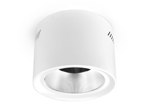 Downlight natynkowy LED Phoenice 35W 3000-5700K biały