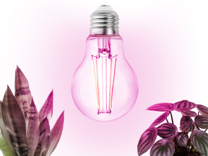 Żarówka do roślin LED PLANTY FGS 8W E27 1200K