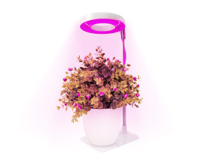 Lampa do roślin LED VERDI V2 5W 1300K biała