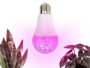 Żarówka do roślin LED PLANTY GS 11W E27 1200K