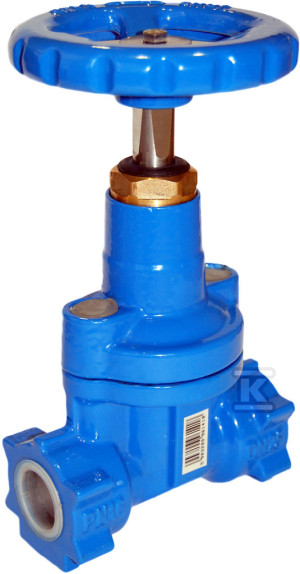 Засувка клинова EcoValve для води, різьбова DN40, PN16, GW 1 1/2", з'єднувальна, м'якоущільнена, EPDM, з коліщатком, GJS-сфероїдальний чавун, колір